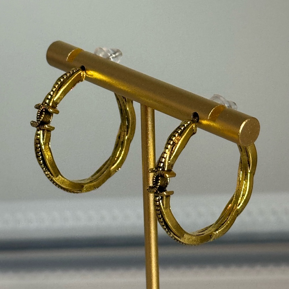 Elegant Gold Hoop Earrings